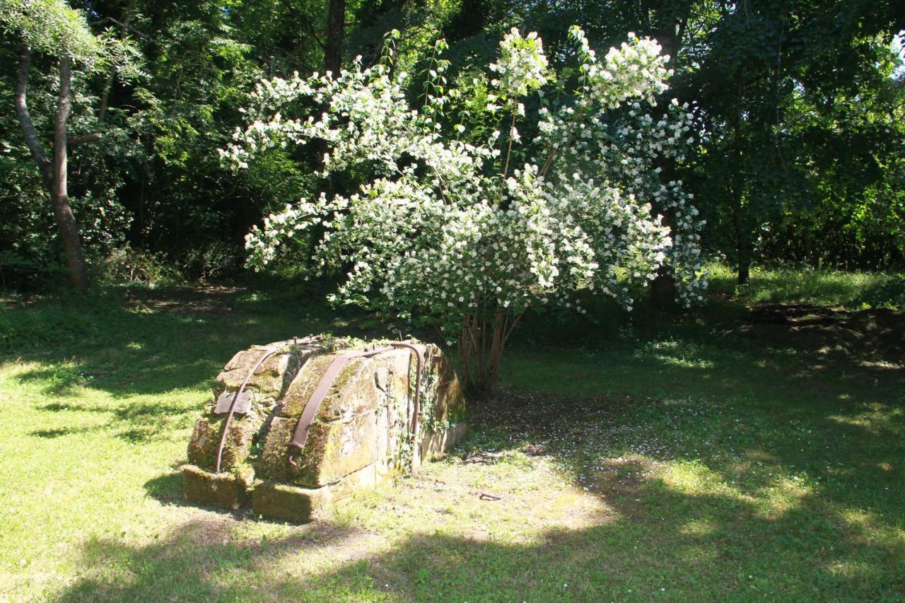 La Chartreuse Maison D Artistes Μπερζεράκ Εξωτερικό φωτογραφία